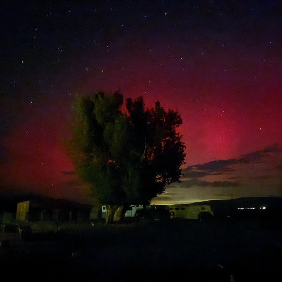 ❤️ QVC 1-99 LIVE SHOW’S WEDNESDAY, FRIDAY, & SUNDAYS 1PM-11PM MST! - Picture 13 of 13